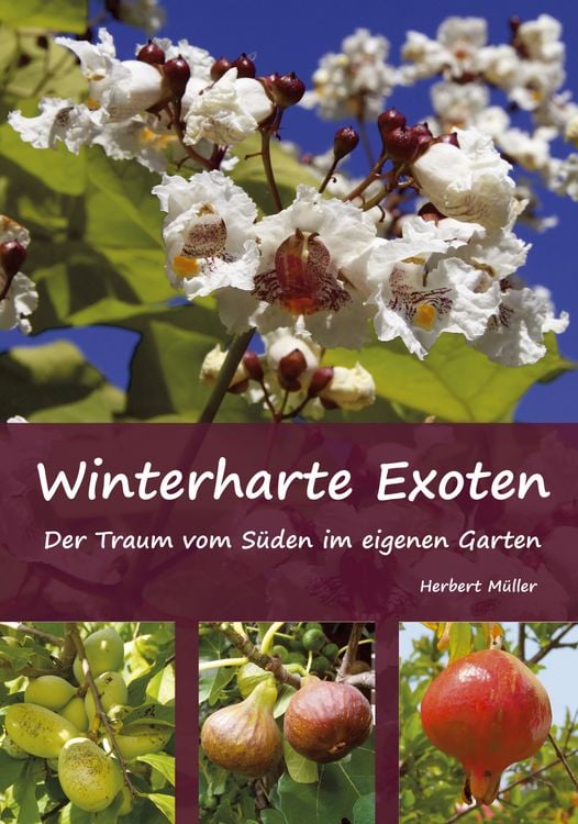 Produktbild: Winterharte Exoten