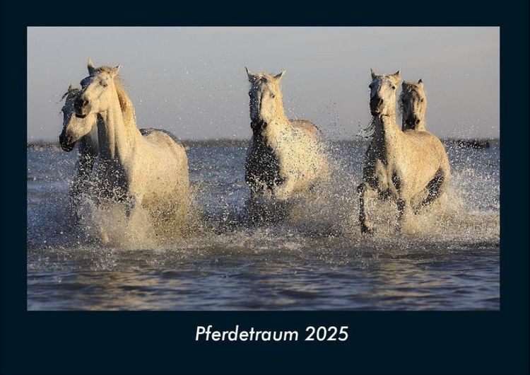 Produktbild: Pferdetraum 2025 Fotokalender DIN A4