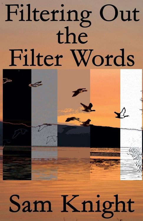 Produktbild: Filtering Out the Filter Words