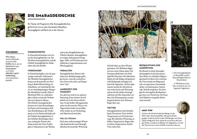 Produktbild: Tiere beobachten mit dem Wildtierguide