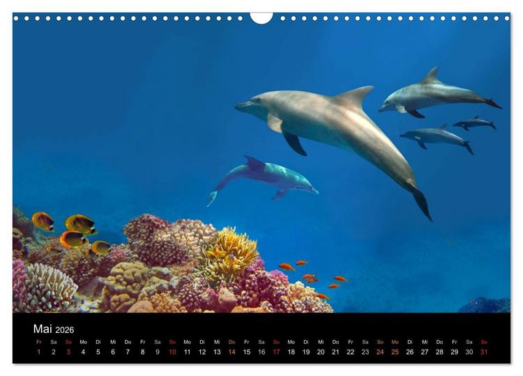 Produktbild: Riffleben - Einfach mal abtauchen (Wandkalender 2026 DIN A3 quer), CALVENDO Monatskalender
