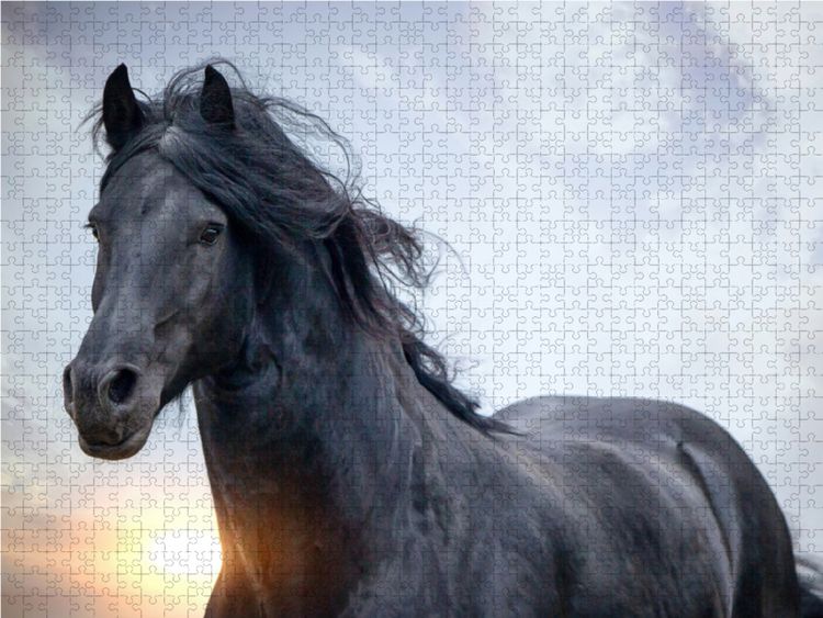 Produktbild: CALVENDO Puzzle Friesen - stolze Giganten 1000 Teile Lege-Gr&ouml;&szlig;e 64 x 48 cm Foto-Puzzle Bild von Martina Wrede