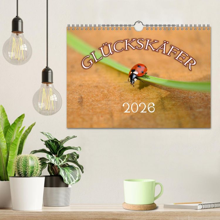 Produktbild: Marienk&auml;fer 2026 (Wandkalender 2026 DIN A4 quer), CALVENDO Monatskalender
