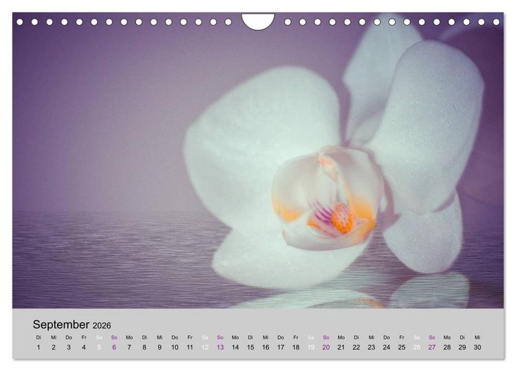Produktbild: Orchideen Tr&auml;ume (Wandkalender 2026 DIN A4 quer), CALVENDO Monatskalender
