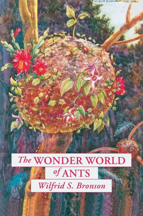 Produktbild: The Wonder World of Ants
