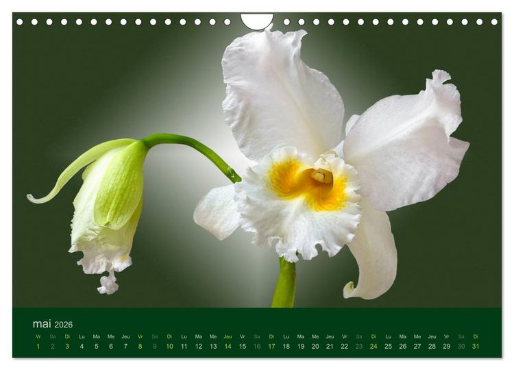 Produktbild: Les Orchid&eacute;es (Calendrier mural 2026 DIN A4 vertical), CALVENDO calendrier mensuel
