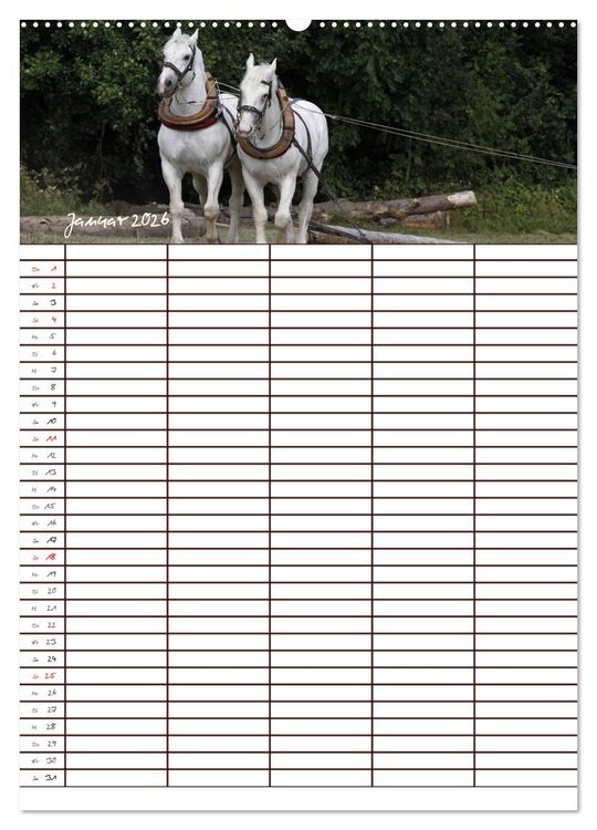 Produktbild: Der Kaltblut-Familienplaner (Wandkalender 2026 DIN A2 hoch), CALVENDO Monatskalender