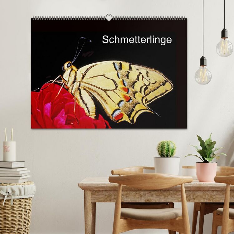 Produktbild: Schmetterlinge (Wandkalender 2026 DIN A2 quer), CALVENDO Monatskalender