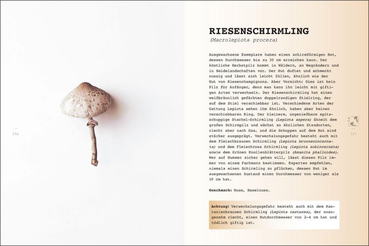 Produktbild: Wilde Ernte