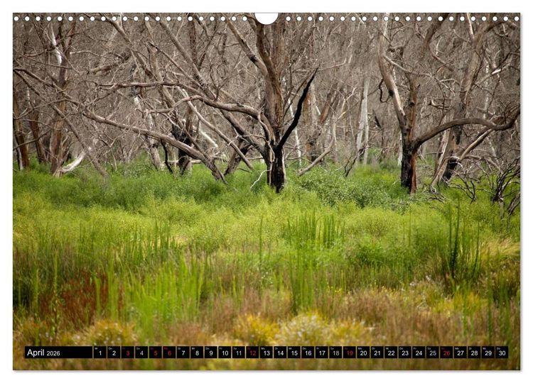 Produktbild: Kangaroo Island (Wandkalender 2026 DIN A3 quer), CALVENDO Monatskalender