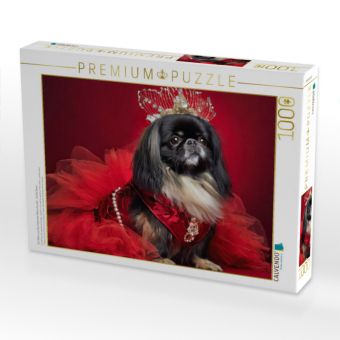 Produktbild: CALVENDO Puzzle Ein Motiv aus dem Kalender Kleine Hunde - Gro&szlig;e Diven | 1000 Teile Lege-Gr&ouml;&szlig;e 64x48cm Foto-Puzzle f&uuml;r gl&uuml;ckliche Stunden