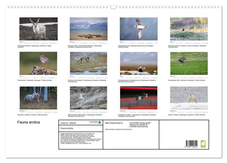 Produktbild: Fauna arctica (Wandkalender 2026 DIN A2 quer), CALVENDO Monatskalender
