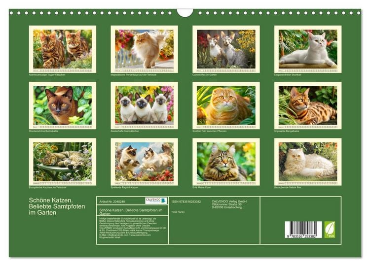 Produktbild: Sch&ouml;ne Katzen. Beliebte Samtpfoten im Garten (Wandkalender 2026 DIN A3 quer), CALVENDO Monatskalender