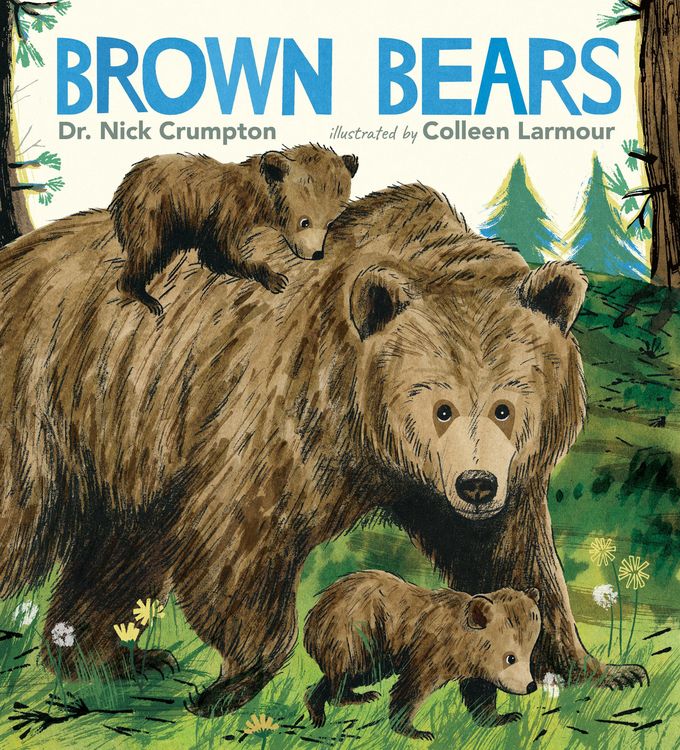 Produktbild: Brown Bears