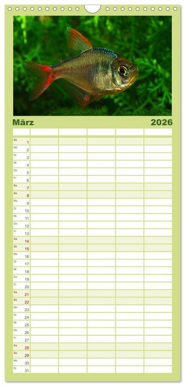 Produktbild: Familienplaner 2026 - Beliebte Fische der Welt mit 5 Spalten (Wandkalender, 21 x 45 cm) CALVENDO