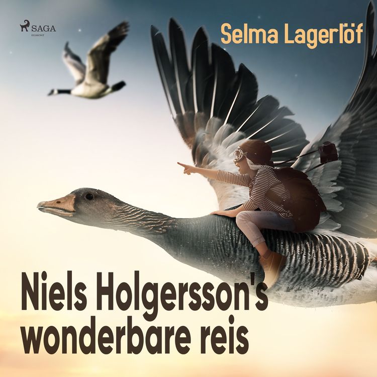 Produktbild: Niels Holgersson's wonderbare reis