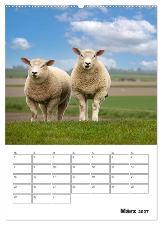 Produktbild: Sankt Peter-Ording Sonne, Strand und Meer (hochwertiger Premium Wandkalender 2027 DIN A2 hoch), Kunstdruck in Hochglanz