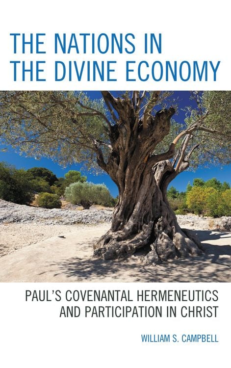 Produktbild: The Nations in the Divine Economy
