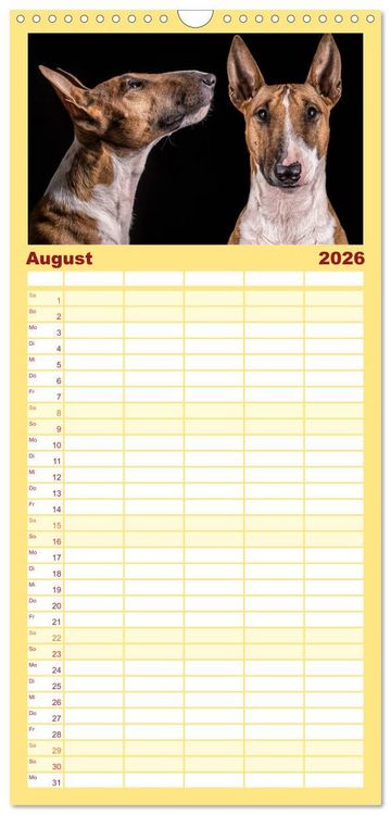 Produktbild: Familienplaner 2026 - Bullterrier mit 5 Spalten (Wandkalender, 21 x 45 cm) CALVENDO