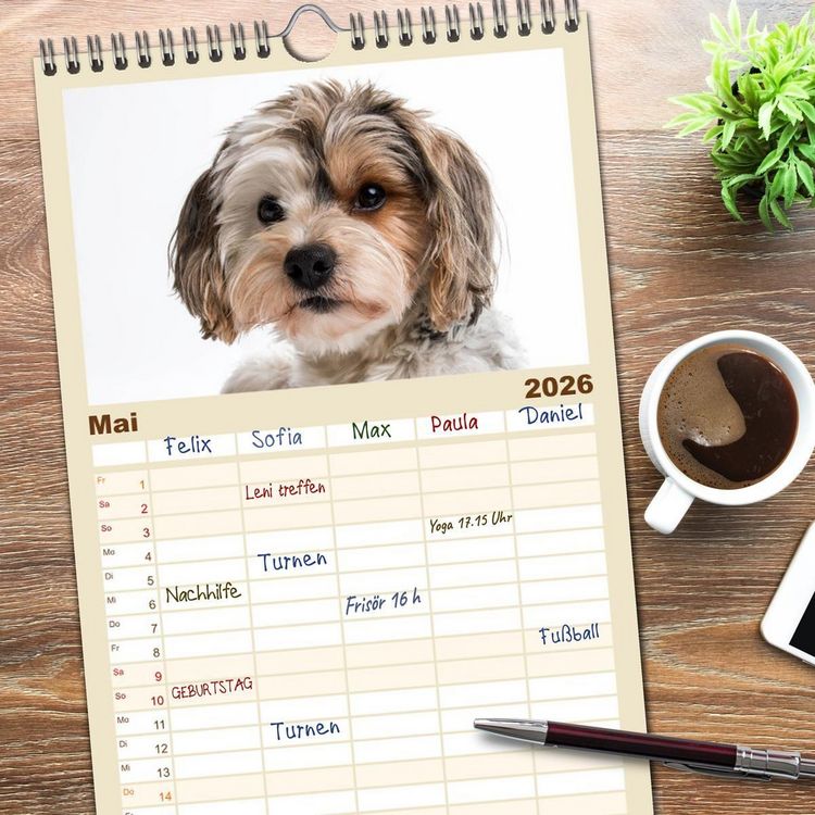 Produktbild: Familienplaner 2026 - Kleine Hunde - Gro&szlig;e Blicke mit 5 Spalten (Wandkalender, 21 x 45 cm) CALVENDO