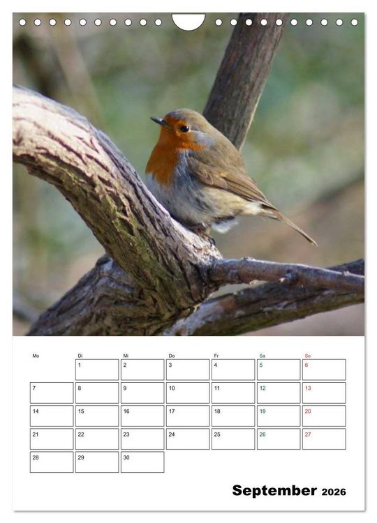 Produktbild: Heimische Singv&ouml;gel (Wandkalender 2026 DIN A4 hoch), CALVENDO Monatskalender