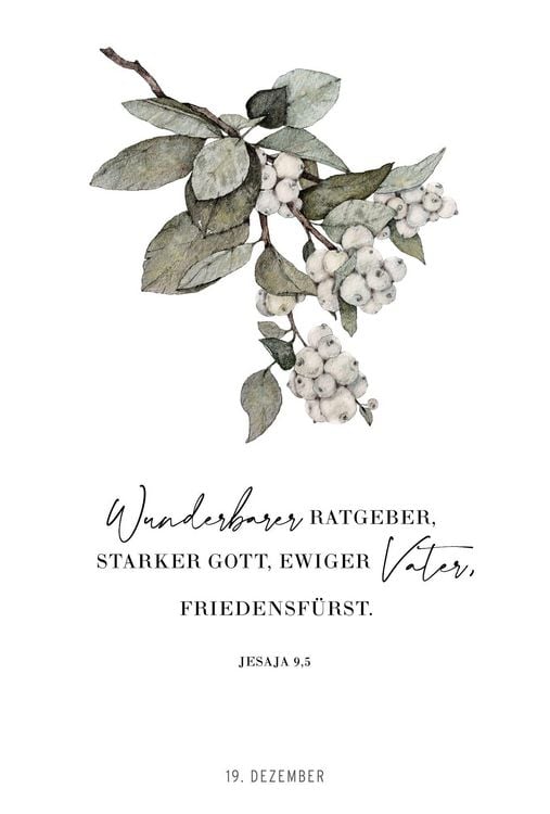 Produktbild: VorFreude &ndash; Adventskalender