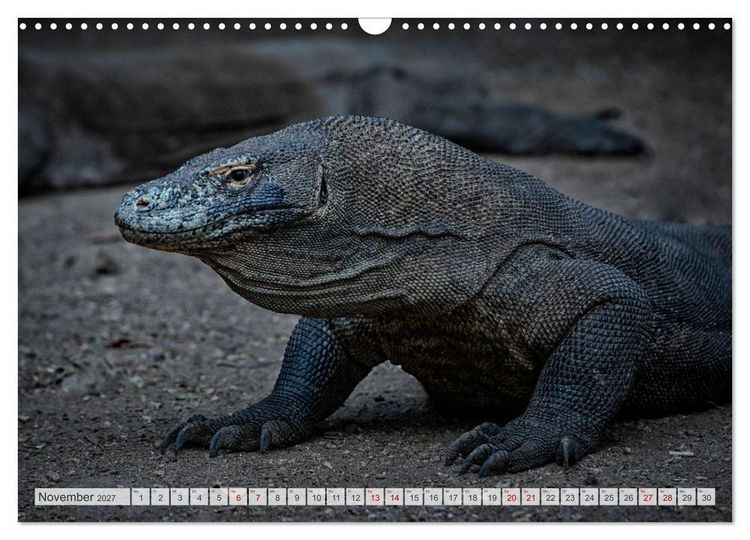 Produktbild: Drachen: Geheimnisvolles Tierreich (Wandkalender 2027 DIN A3 quer), CALVENDO Monatskalender