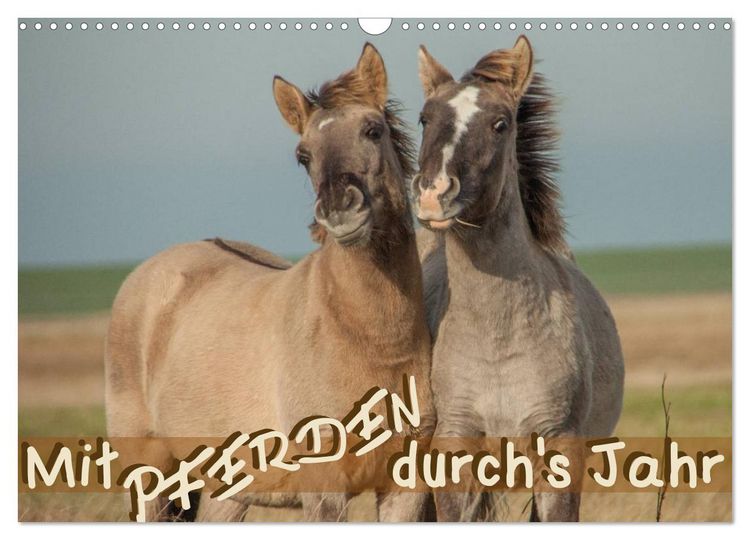 Produktbild: Mit Pferden durch&acute;s Jahr (Wandkalender 2026 DIN A3 quer), CALVENDO Monatskalender