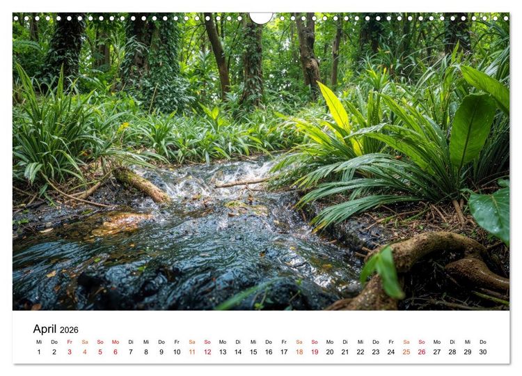 Produktbild: Naturzeit - Ein Jahr im Wandel (Wandkalender 2026 DIN A3 quer), CALVENDO Monatskalender