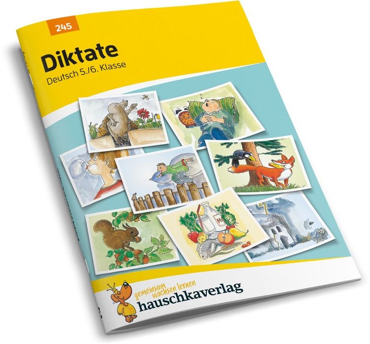 Produktbild: Diktate 5./6. Klasse, A5-Heft