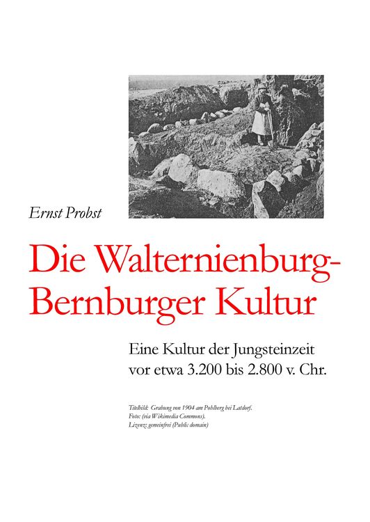 Produktbild: Die Walternienburg-Bernburger Kultur