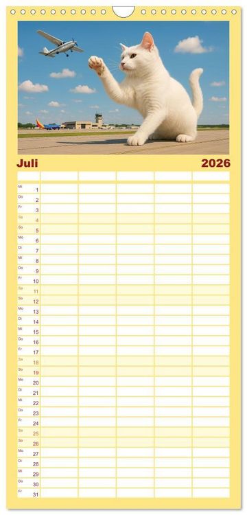 Produktbild: Familienplaner 2026 - Katzen Weltherrschaft mit 5 Spalten (Wandkalender, 21 x 45 cm) CALVENDO