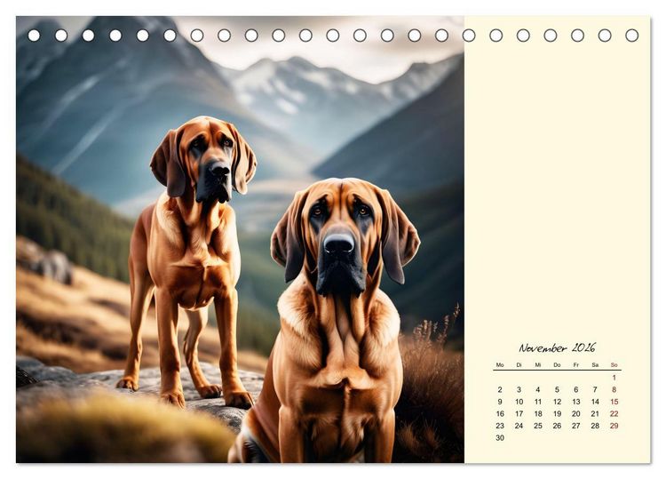 Produktbild: Bloodhound - M&auml;chtige Sp&uuml;rnase (Tischkalender 2026 DIN A5 quer), CALVENDO Monatskalender