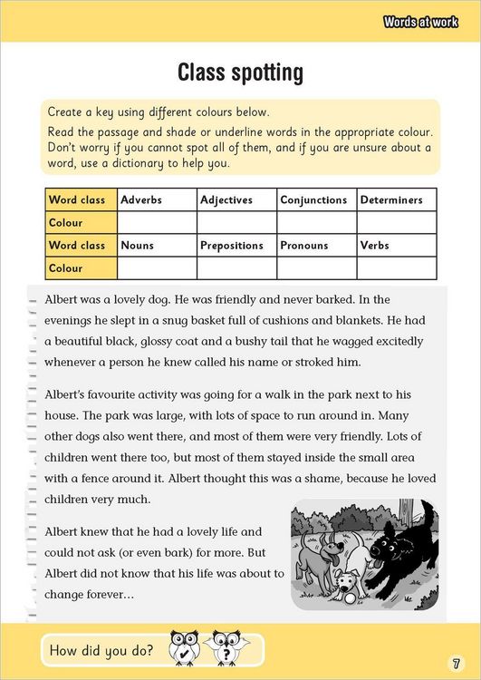 Produktbild: Grammar and Punctuation Practice Ages 9-10