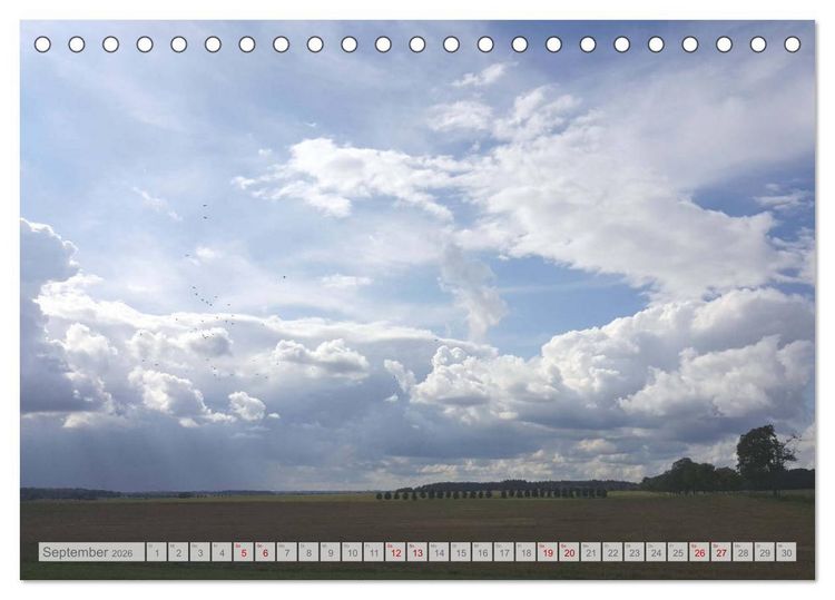 Produktbild: Natur-Paradies Mecklenburgische Schweiz (Tischkalender 2026 DIN A5 quer), CALVENDO Monatskalender