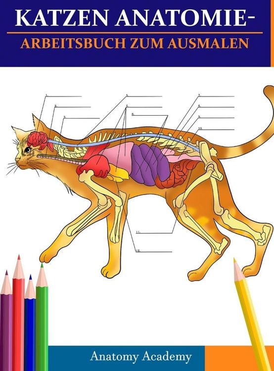 Produktbild: Katzen AnatomieArbeitsbuch zum Ausmalen