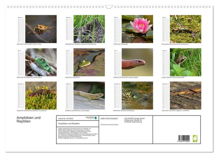 Produktbild: Amphibien und Reptilien (Wandkalender 2026 DIN A2 quer), CALVENDO Monatskalender