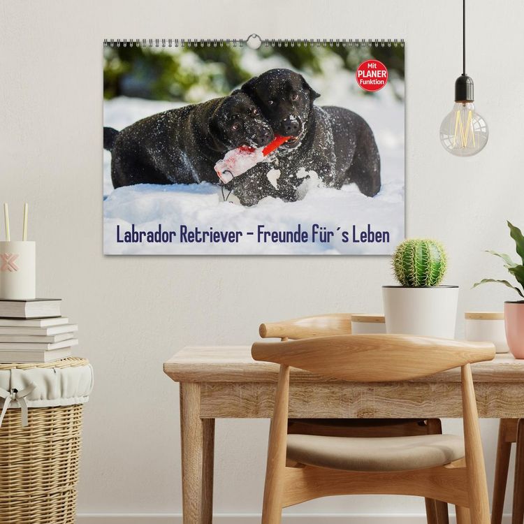 Produktbild: Labrador Retriever - Freunde f&uuml;r&acute;s Leben (Wandkalender 2026 DIN A3 quer), CALVENDO Monatskalender