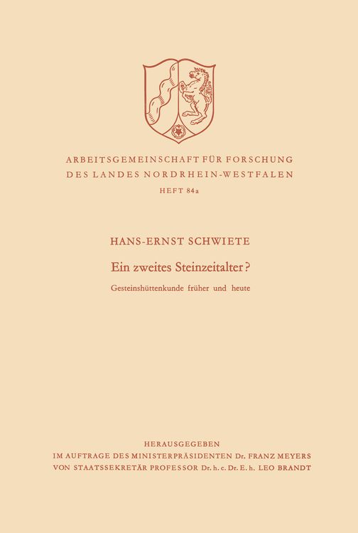 Produktbild: Ein zweites Steinzeitalter?