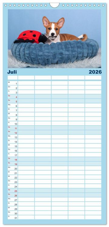 Produktbild: Familienplaner 2026 - Basenji-Sch&ouml;nheiten mit 5 Spalten (Wandkalender, 21 x 45 cm) CALVENDO