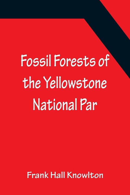 Produktbild: Fossil Forests of the Yellowstone National Par