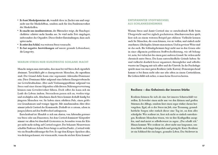 Produktbild: Der stille Dickmacher
