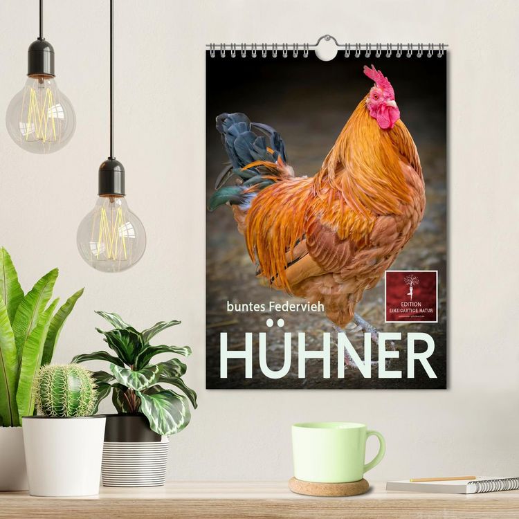 Produktbild: H&uuml;hner - buntes Federvieh (Wandkalender 2026 DIN A4 hoch), CALVENDO Monatskalender