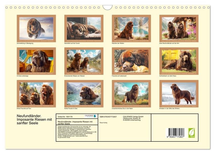 Produktbild: Neufundl&auml;nder. Imposante Riesen mit sanfter Seele (Wandkalender 2026 DIN A3 quer), CALVENDO Monatskalender