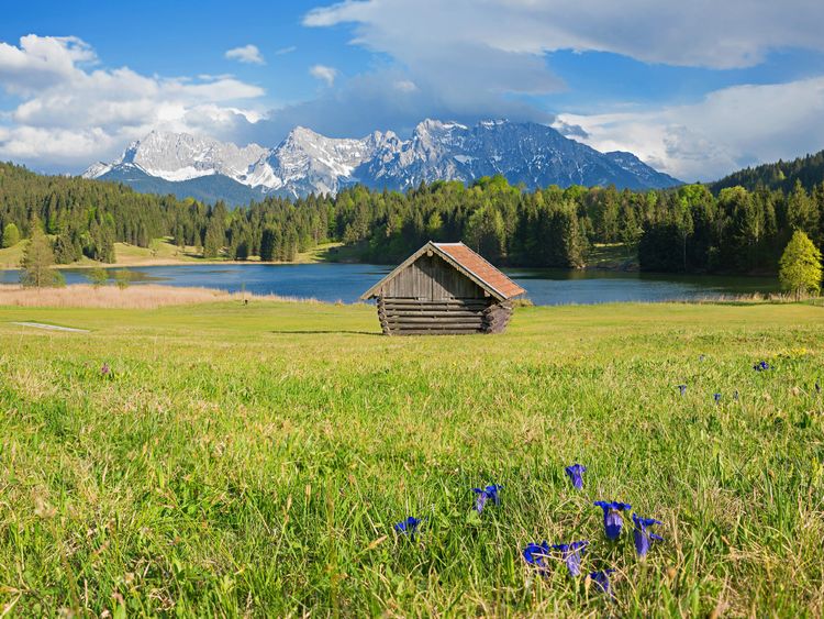 Produktbild: CALVENDO Puzzle Enzianwiese am Geroldsee | 1000 Teile Lege-Gr&ouml;&szlig;e 64x48cm Foto-Puzzle f&uuml;r gl&uuml;ckliche Stunden