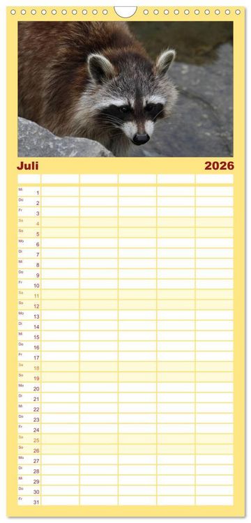 Produktbild: Familienplaner 2026 - Waschb&auml;ren mit 5 Spalten (Wandkalender, 21 x 45 cm) CALVENDO