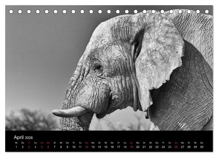 Produktbild: Elefanten Schwarz - Weiss (Tischkalender 2026 DIN A5 quer), CALVENDO Monatskalender