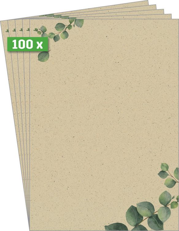 Produktbild: Motivpapier Eucalyptus DIN A4 100g/m&sup2; 100 Blatt