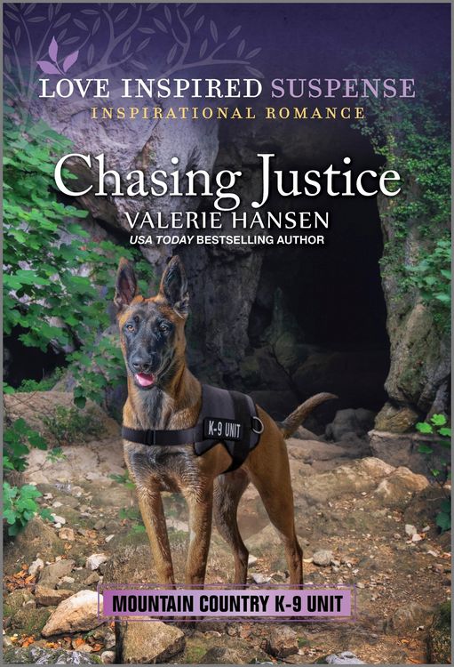 Produktbild: Chasing Justice
