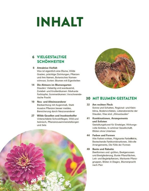 Produktbild: Das gro&szlig;e Buch der Stauden und Sommerblumen